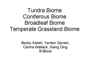 Tundra Biome Coniferous Biome Broadleaf Biome Temperate Grassland