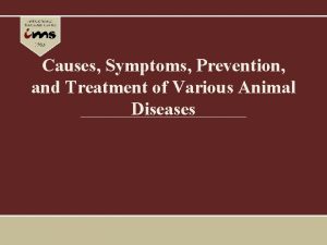 Causes Symptoms Prevention and Treatment of Various Animal