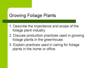 Growing Foliage Plants 1 Describe the importance and