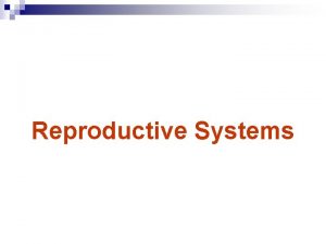 Reproductive Systems Introduction A Male and female reproductive