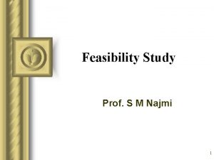 Feasibility Study Prof S M Najmi 1 Feasibility