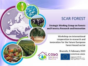 SCAR FOREST Strategic Working Group on Forests and