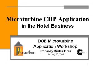 Microturbine CHP Application in the Hotel Business DOE