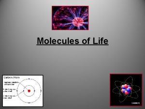 Molecules of Life Carbon Hydrogen Nitrogen Oxygen Phosphorus