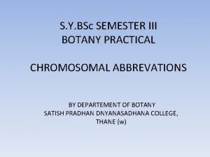 S Y BSc SEMESTER III BOTANY PRACTICAL CHROMOSOMAL