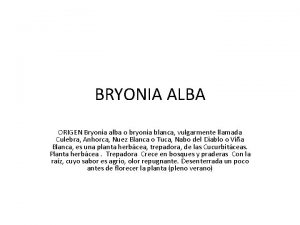 BRYONIA ALBA ORIGEN Bryonia alba o bryonia blanca