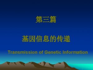 Transmission of Genetic Information DNA DNA BiosynthesisReplication DNA