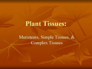 Plant Tissues Meristems Simple Tissues Complex Tissues Meristematic Plant Tissues Meristems Simple Tissues Complex Tissues Meristematic