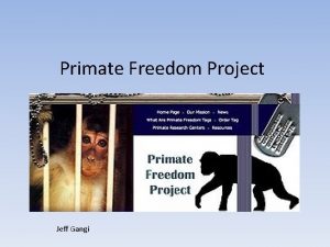 Primate Freedom Project Jeff Gangi Basics Primate Freedom