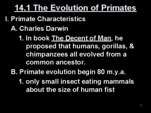 14 1 The Evolution of Primates I Primate