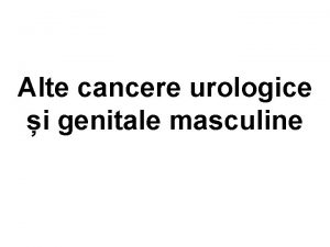Alte cancere urologice i genitale masculine Copyright 2004