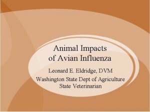 Animal Impacts of Avian Influenza Leonard E Eldridge