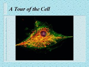 A Tour of the Cell Cytology sciencestudy of