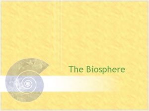 The Biosphere Ecology the scientific study of interactions