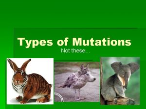 Types of Mutations Not these Point Mutations One