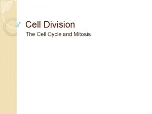 Cell Division The Cell Cycle and Mitosis Cell