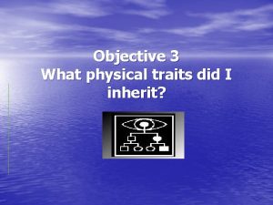 Objective 3 What physical traits did I inherit