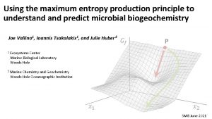 Using the maximum entropy production principle to understand