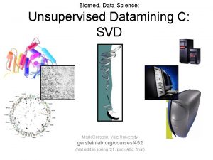 Biomed Data Science Unsupervised Datamining C SVD Mark