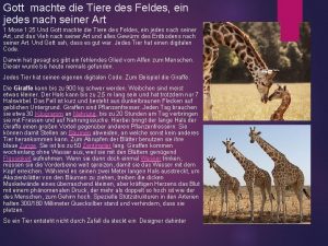 Gott machte die Tiere des Feldes ein jedes