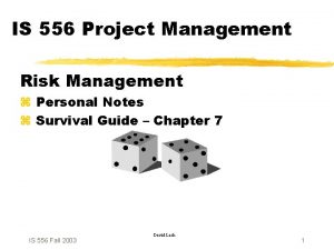 IS 556 Project Management Risk Management z Personal