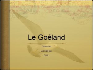 Le Goland Sbastien Lucie Berger CM 1 c