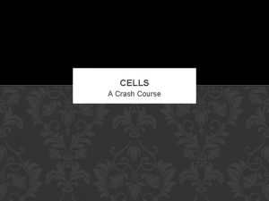 CELLS A Crash Course HISTORY Hooke 1665 Leeuwenhoek