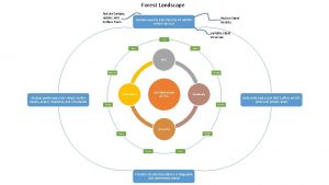 Forest Landscape Reduce Canopy Ladder and Surface Fuels