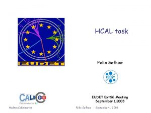 HCAL task Felix Sefkow EUDET Ext SC Meeting