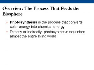 Overview The Process That Feeds the Biosphere Photosynthesis