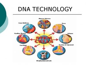 DNA TECHNOLOGY DNA Extraction Chemical treatments cause cells