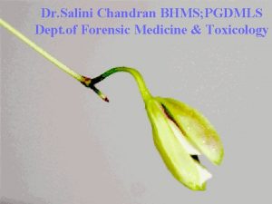 Dr Salini Chandran BHMS PGDMLS Dept of Forensic