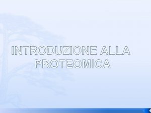 INTRODUZIONE ALLA PROTEOMICA Che cos lelettroforesi bidimensionale Si