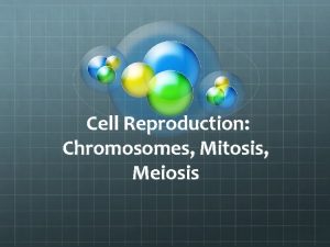 Cell Reproduction Chromosomes Mitosis Meiosis Review Chromosomes Chromosome