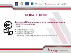 COSA SFIN STRUMENTO FINANZIARIO PER IL SOSTEGNO AGLI