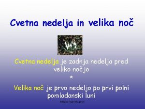 Cvetna nedelja in velika no Cvetna nedelja je