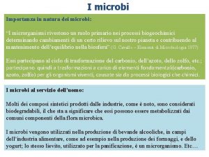 I microbi Importanza in natura dei microbi I