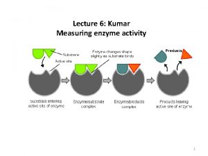 Lecture 6 Kumar Measuring enzyme activity 1 Effect