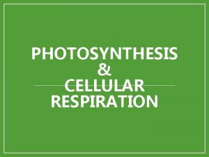 PHOTOSYNTHESIS CELLULAR RESPIRATION Autotrophs vs Heterotrophs Auto self
