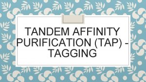 TANDEM AFFINITY PURIFICATION TAP TAGGING What is TAP
