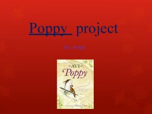 Poppy project By Brady Poppy ventures off to