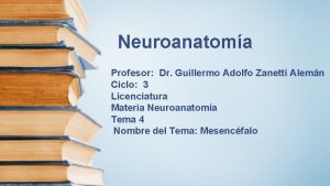 Neuroanatoma Profesor Dr Guillermo Adolfo Zanetti Alemn Ciclo