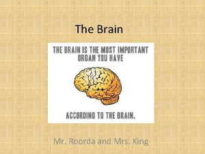 The Brain Mr Roorda and Mrs King Hindbrain