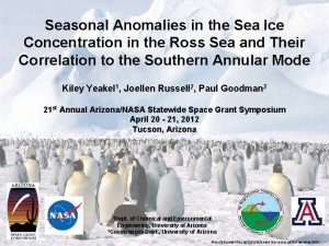 Seasonal Anomalies in the Sea Ice Concentration in
