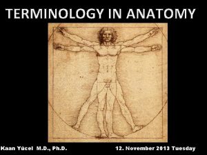 TERMINOLOGY IN ANATOMY Kaan Ycel M D Ph