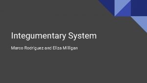 Integumentary System Marco Rodriguez and Eliza Milligan Tour