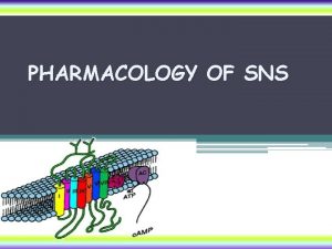 PHARMACOLOGY OF SNS According to chemistry According to