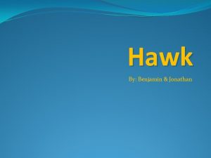 Hawk By Benjamin Jonathan Problems The problems that