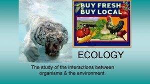 ECOLOGY The study of the interactions between organisms