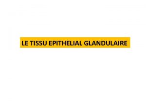 LE TISSU EPITHELIAL GLANDULAIRE Les glandes unicellulaires Les